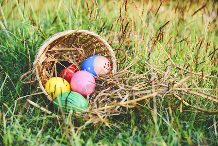 复活节鸡蛋猎户外绿草篮巢鸡蛋在草地上盛放多彩的蛋装饰图片