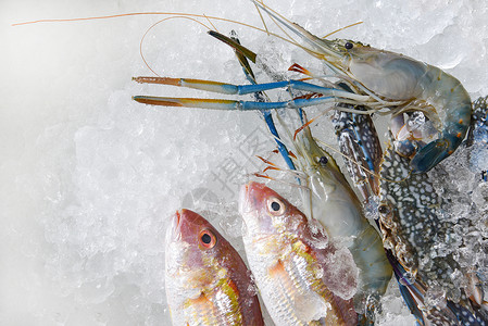 海产食品市场中的虾和海洋美食孤立的高清图片素材