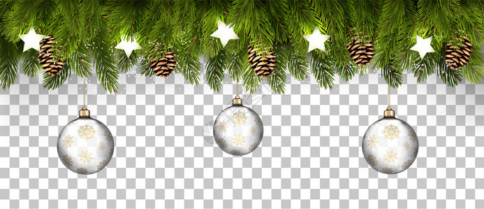松树透明素材圣诞节的日框架树园枝和松以透明背景为矢量插画