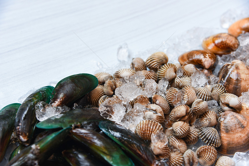冰底贝壳鱼新鲜生血绿贝类和海产食品餐厅用冰立方糖加的海豚壳图片