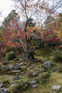 京都有17个教科文组织世界遗产地标图片