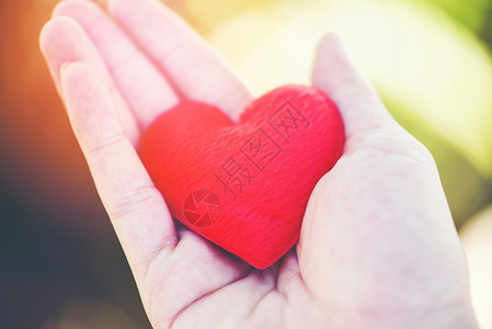 拉着心让爱人握着小红心在爱的手中情人节捐赠帮助给爱温暖照顾概念背景