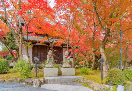 EikandoZenrinji寺的佛像有红色树叶或秋天有色树日本京都自然景观背背景图片