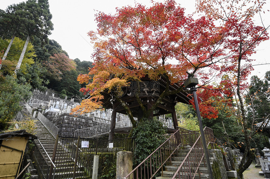 日本京都EikandoZenrinji花园的多彩落叶柔道佛教寺庙可追溯到第853年图片