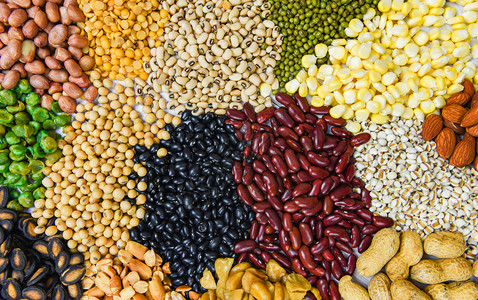 将各种豆类混合子农业以天然健康食品作为烹饪原料一组不同整粒的豆类和种子以及坚果多彩的零食布料背景背景图片