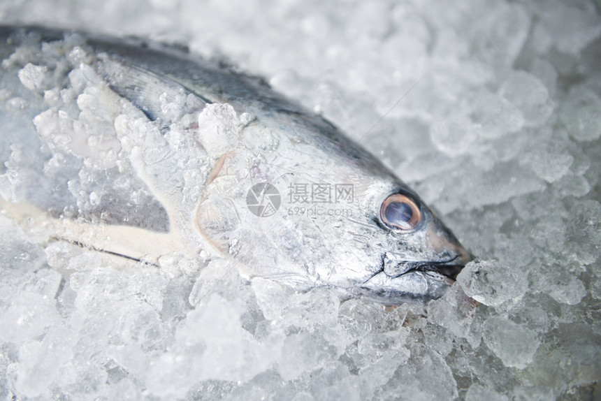 冰背景的生鱼海鲜长尾金鱼东部小市场上的新鲜鱼图片