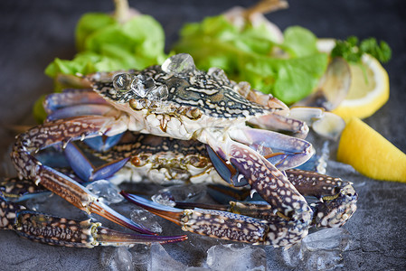 鲜螃蟹在冰面上香料柠檬和沙拉生菜在黑板背景新鲜螃蟹在餐厅或海鲜市场煮熟食品蓝游泳蟹蓝色高清图片素材