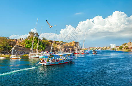 埃及阿斯旺尼罗河旅游船背景