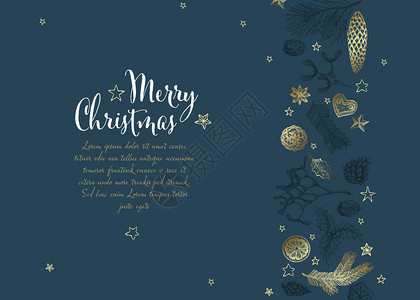 矢量老手画有各种季节形状的圣诞卡姜面包寄生虫锥坚果深蓝色版本背景图片