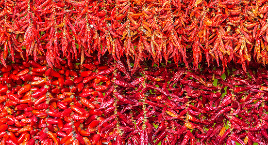 红辣椒的果实干涸了葡萄牙马德拉背景图片