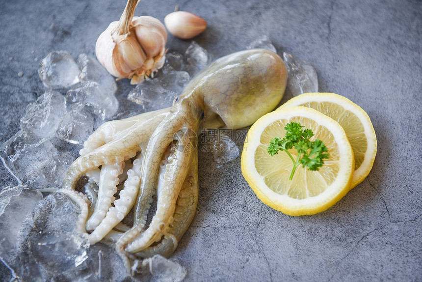 在冰上生鱿鱼有沙拉香料加柠檬大蒜底黑板新鲜乌贼章鱼或餐饮海鲜市场煮熟食品的甲头鱼图片