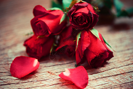 浪漫的爱情使花朵更加美丽可爱的高清图片素材