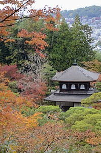 日本京都秋天时银井二殿的美丽落颜色图片
