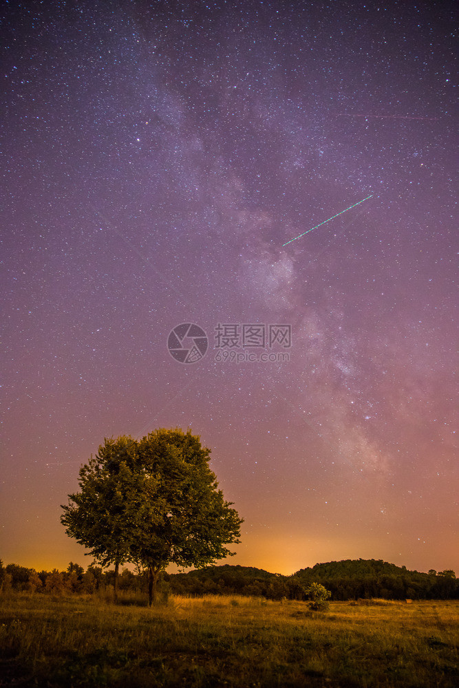 明亮的紫色星空和一棵孤独的树图片