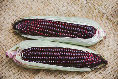 紫玉米自然顶部高清图片