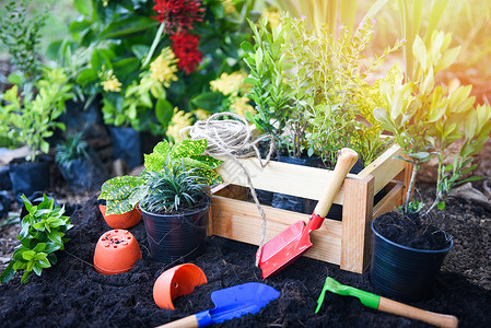 以土壤为背景的园艺工具准备在春园工程中种植花卉和小物概念园艺花盆在阳光明媚的后院背景图片