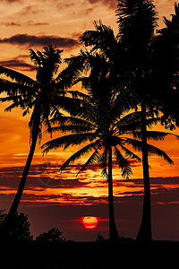 旅行游假期概念背景美丽的日落橙色的月亮图片