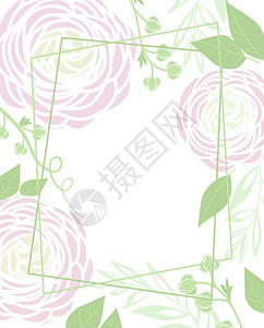 彩虹花的矢量插图有花和叶装饰的背景彩虹花图片
