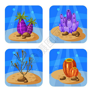 卡通海底植物海葵珊瑚图标图片