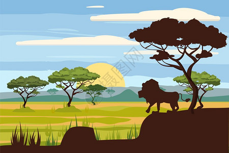非洲地貌热带草原日落矢量图图片