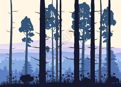 卡通树木阳光森林背景下森林中的树木矢量图阳光背景下森林中的矢量图阳光背景下森林中的矢量图背景