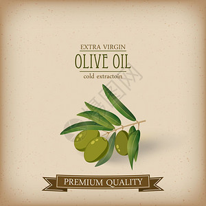 橄榄油标签橄榄油标签高清图片