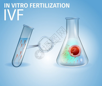培育受精卵试验矢量设计模板图片素材