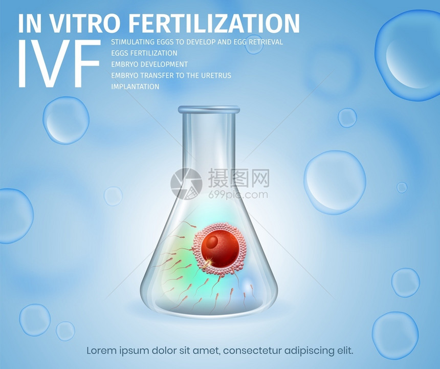 培育受精卵试验矢量设计模板图片