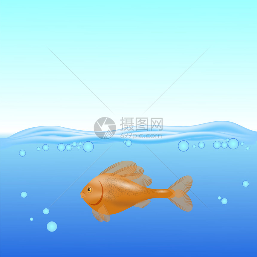 海面背景上游泳的鱼图片