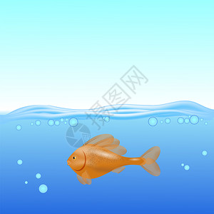 金玲咸水鸭海面背景上游泳的鱼插画