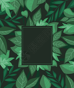 树叶和草自然背景和文字位置的装饰树枝矢量说明背景图片