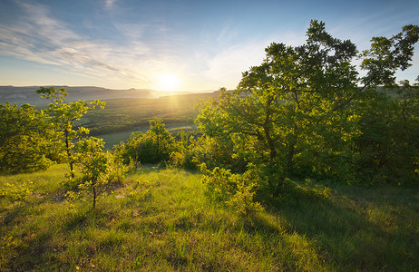 山日景色太阳和树黎明高清图片素材
