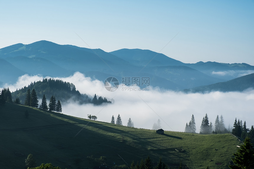 雾的山丘上林图片