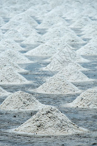 泰国农民的盐田里有很多热带的高清图片素材
