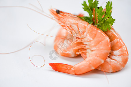 白盘上新鲜虾配有香成分烹饪海产鲜虾背景图片
