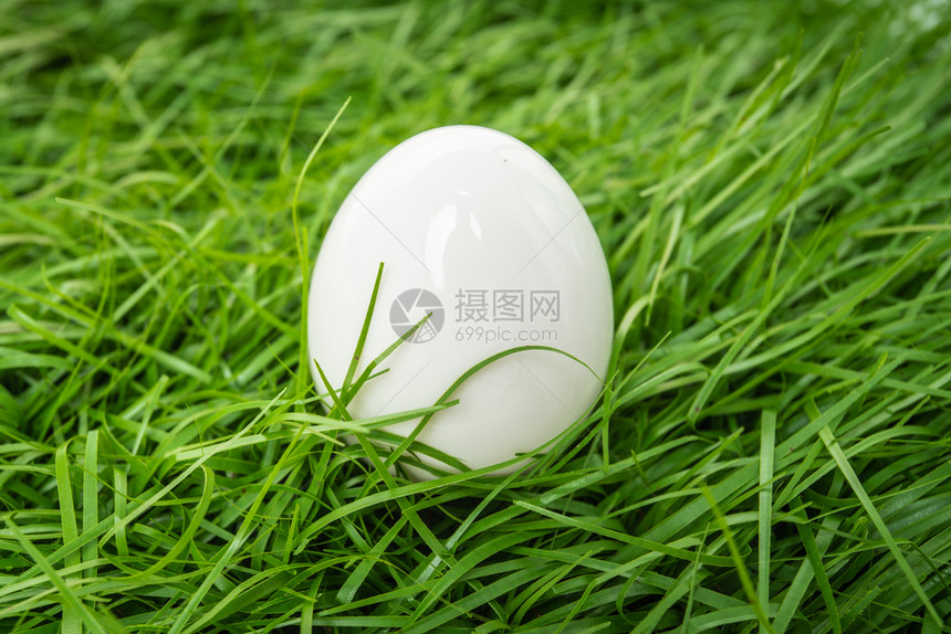 白鸡蛋在绿草中图片