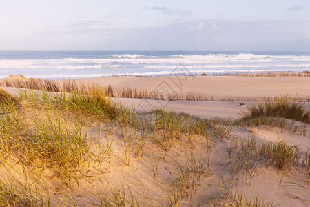 清晨阳光明媚的沙丘和海洋美丽的夏季风景和海洋夏天高清图片素材