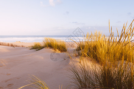 清晨阳光明媚的沙丘和海洋美丽的夏季风景和海洋天空高清图片素材