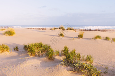 清晨阳光明媚的沙丘和海洋美丽的夏季风景和海洋彭萨科拉高清图片素材