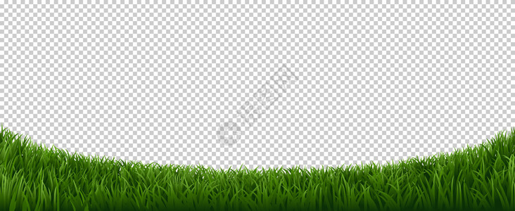 绿色草坪花园药植物框架新鲜草坪边框要素矢量背景横向草地绿化图例现实草地边界绿坪新鲜地边框要素矢量背景背景图片