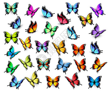 卡通可爱多彩的蝴蝶矢量元素插画背景图片