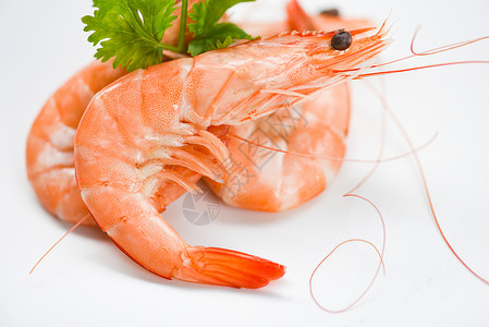 白盘上新鲜虾配有香成分煮海鲜背景图片
