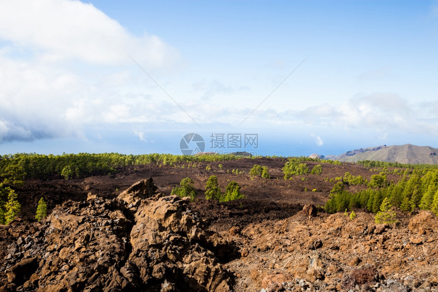 西班牙最高海拔Tenerife的Teide公园图片