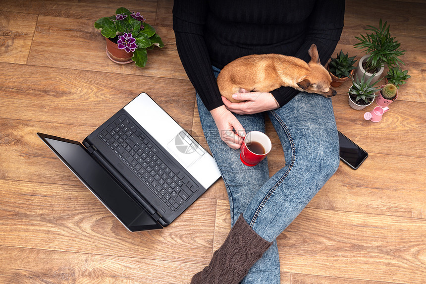 一位年轻女视线上面有一台电脑在她的大腿上带着小狗并有复制空间图片