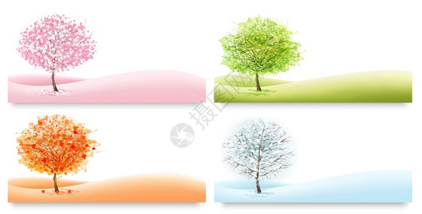 代表不同季节的四种颜色的树寒冷的高清图片素材
