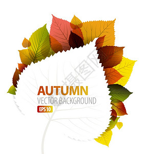 多彩秋天树叶秋季抽象植物背景插画