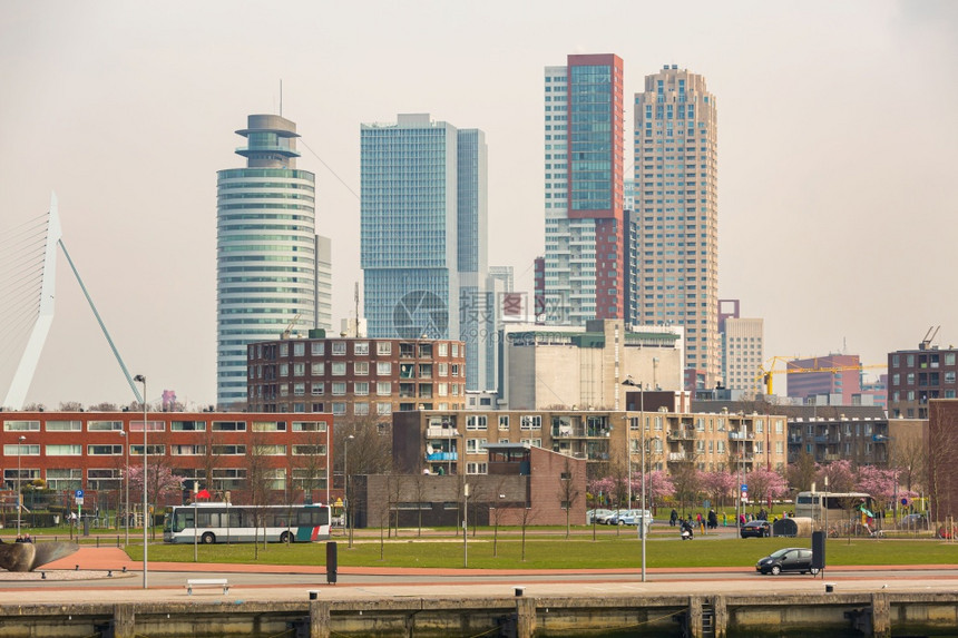 荷兰鹿特丹市景色和美丽的唐城市景色交通标志旅游概念图片