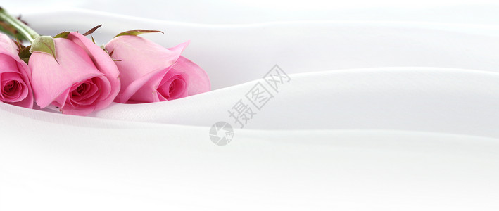 粉红玫瑰花束婚礼横向背景图片