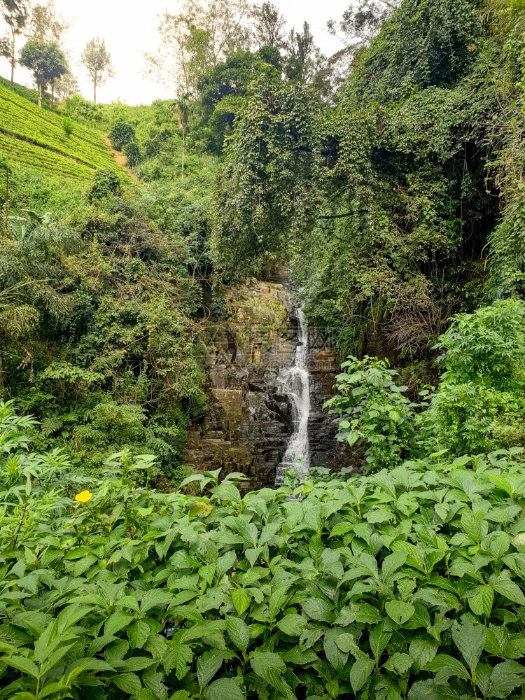 斯里兰卡山区小瀑布的美景图片