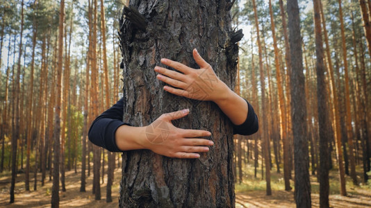 女双手拥抱森林中大松树的近距离图像生态环境保护和与自然谐相处的概念图片